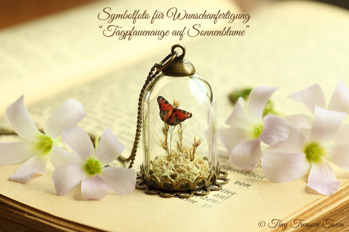 Schmetterling auf Sonnenblume "Tagpfauenauge" für Sabine-31