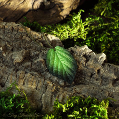 Handgemachte "Verzaubertes Blatt" Halskette - Frühlingsgrün mit schwarzer Spitze und zartem Schimmer